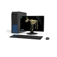 Макет масштабный «Скелет Коровы» Масштаб 1:2 - «globural.ru» - Сыктывкар