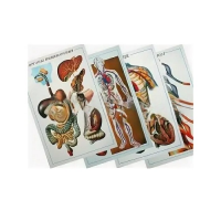 Таблицы рельефные - «globural.ru» - Сыктывкар