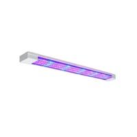 Фитолампа - «globural.ru» - Сыктывкар