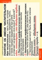 Русский язык. Числительное и местоимение (комплект таблиц) - «globural.ru» - Сыктывкар