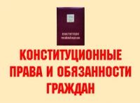 Комплект плакатов "Конституционные права и обязанности граждан" - «globural.ru» - Сыктывкар
