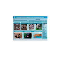 Стенд-планшет светодинамический «Острые отравления животных лекарственными препаратами» - «globural.ru» - Сыктывкар