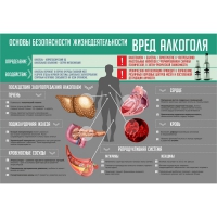 Стенд "Алкоголь" - «globural.ru» - Сыктывкар