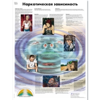 Плакат "Наркотическая зависимость", ламинированный, 50*67 см - «globural.ru» - Сыктывкар
