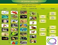 Стенд "Систематика животных" - «globural.ru» - Сыктывкар