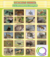 Стенд "Красная книга - млекопитающие" - «globural.ru» - Сыктывкар