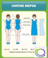 Стенд "Снятие мерок" (вариант 1) - «globural.ru» - Сыктывкар