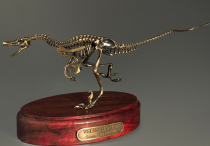 Модель скелета динозавра Velociraptor - «globural.ru» - Сыктывкар