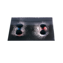 Набор «Эксперименты с магнитным полем» - «globural.ru» - Сыктывкар