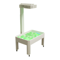 Интерактивная песочница 2в1 с функцией интерактивного стола стандартная - «globural.ru» - Сыктывкар