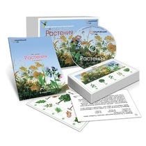 Комбинированное наглядное пособие «Растения» - «globural.ru» - Сыктывкар