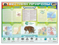 Стенд-уголок "Вестник природы" (вариант 1) - «globural.ru» - Сыктывкар
