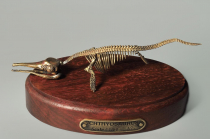 Модель скелета ихтиозавра Ichthyosaurus - «globural.ru» - Сыктывкар