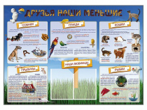 Стенд-уголок "Друзья наши меньшие" - «globural.ru» - Сыктывкар
