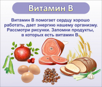 Стенд "Витамин В" - «globural.ru» - Сыктывкар