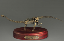 Модель скелета динозавра Diplodocus (вариант 1) - «globural.ru» - Сыктывкар