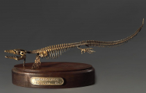 Модель скелета мозазавра Mosasaurus - «globural.ru» - Сыктывкар