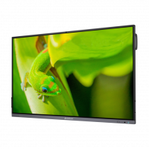 Интерактивный программно-аппаратный комплекс Geckotouch Interactive IP75GT-C в комплекте с настенным креплением - «globural.ru» - Сыктывкар