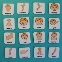 Набор карточек "Части тела" - «globural.ru» - Сыктывкар