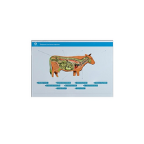 Стенд-планшет светодинамический "Изучение нервной системы сельскохозяйственных животных" со сменными панелями - «globural.ru» - Сыктывкар