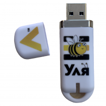 Методическое пособие для работы с комплектом мини-роботов "Bee-Bot"  - «globural.ru» - Сыктывкар