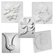 Комплект гипсовых моделей растений  - «globural.ru» - Сыктывкар