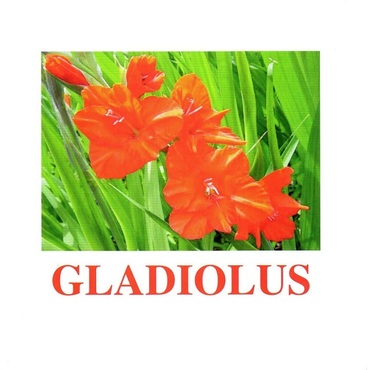 "Flowers-1" ("Цветы-1") английские карточки Домана - «globural.ru» - Сыктывкар