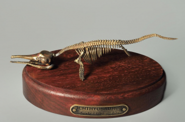Модель скелета ихтиозавра Ichthyosaurus - «globural.ru» - Сыктывкар