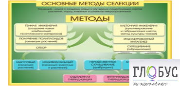 Стенд "Методы селекции и биотехнологии" - «globural.ru» - Сыктывкар