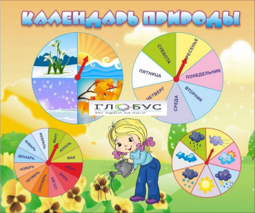 Стенд "Календарь природы" (вариант 1) - «globural.ru» - Сыктывкар