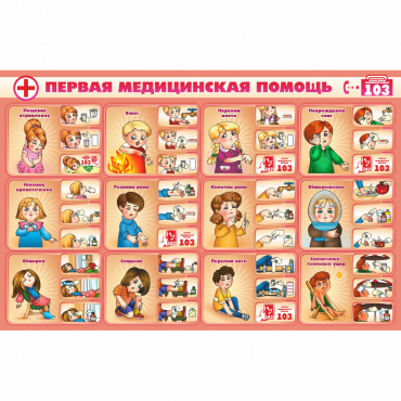 Стенд "Первая помощь" - «globural.ru» - Сыктывкар