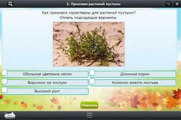 Интерактивные курсы. Окружающий мир 3 класс. Базовый - «globural.ru» - Сыктывкар