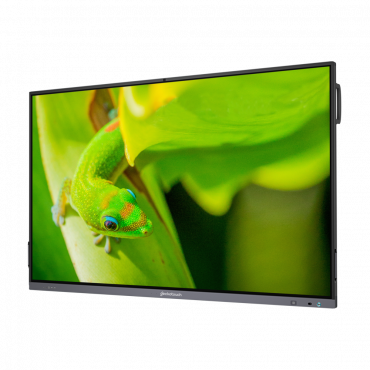 Интерактивный программно-аппаратный комплекс Geckotouch Interactive IP86GT-С  в комплекте с настенным креплением - «globural.ru» - Сыктывкар