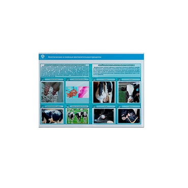 Стенд-планшет светодинамический «Изучение асептических и гнойных воспалительных процессов» - «globural.ru» - Сыктывкар