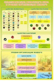 Стенд "Классификация животного мира" - «globural.ru» - Сыктывкар
